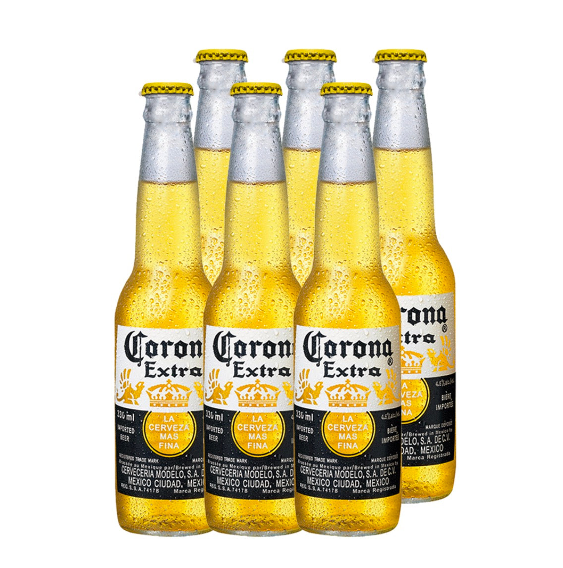 Corona 啤酒 6 x 355毫升
