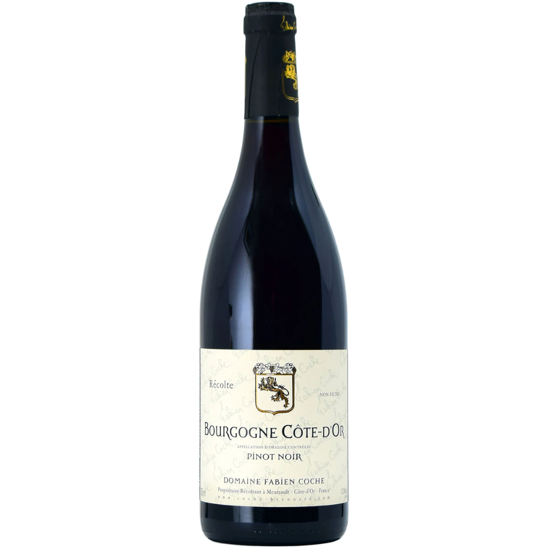Domaine Fabien Coche Bourgogne Côte d'Or Pinot Noir 2021