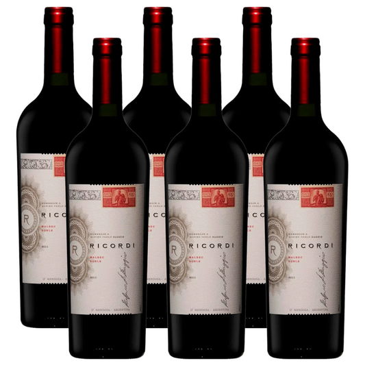 Ricordi - Argentina Malbec 750ml x 6