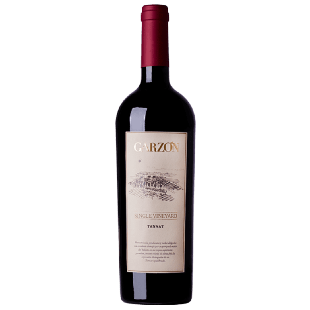 Bodega Garzon Single Vineyard Tannat 2019