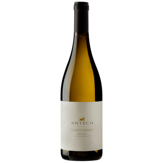 Antech Chardonnay Tradition 2022