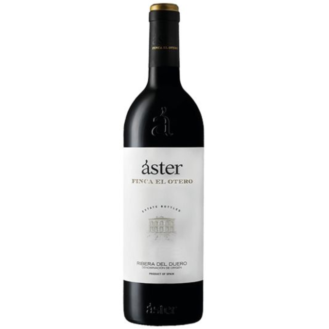 Aster Finca El Otero 2016