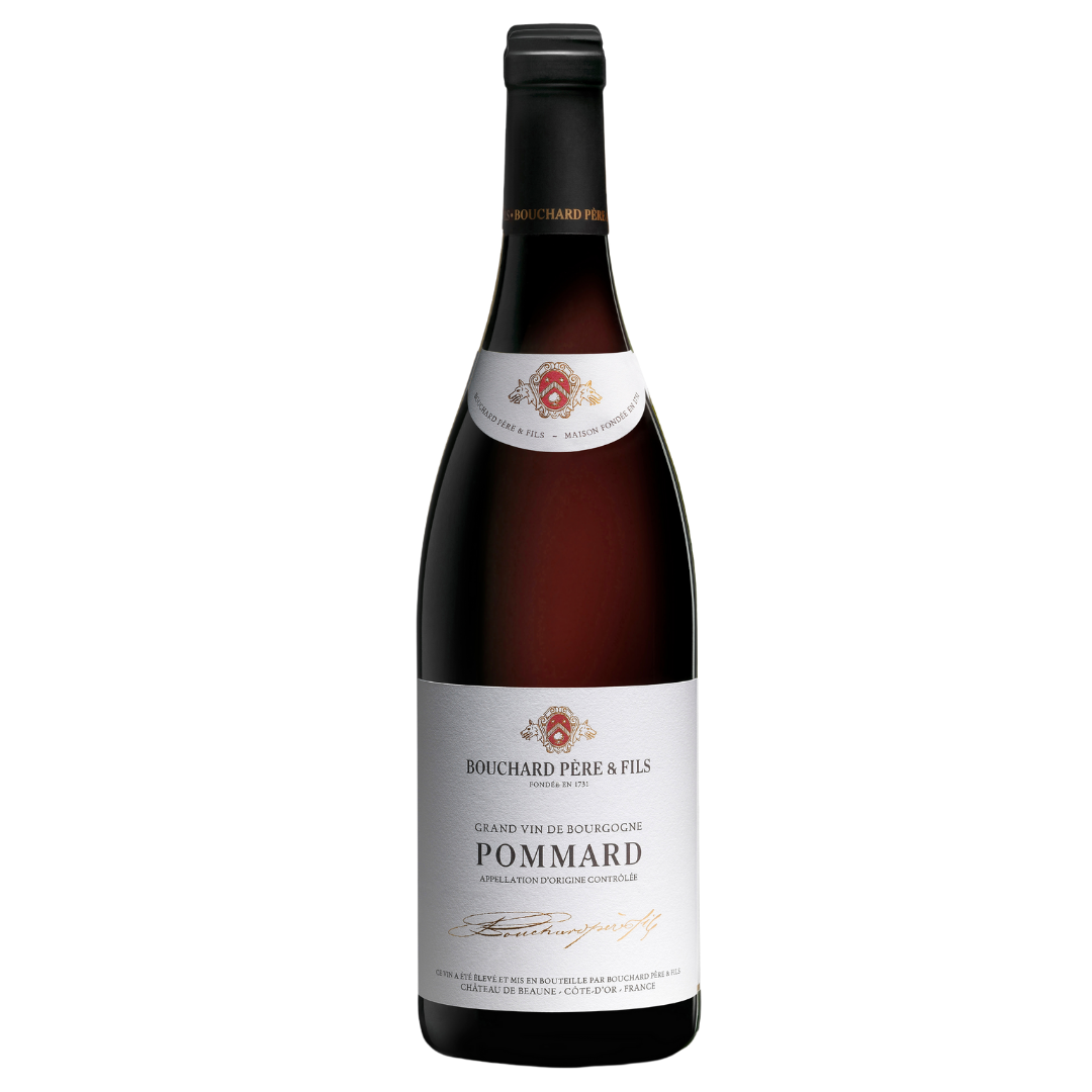 Bouchard Pere & Fils Pommard 2019