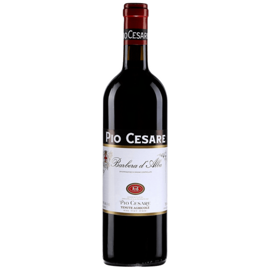 Pio Cesare Barbera D'Alba DOC 2021