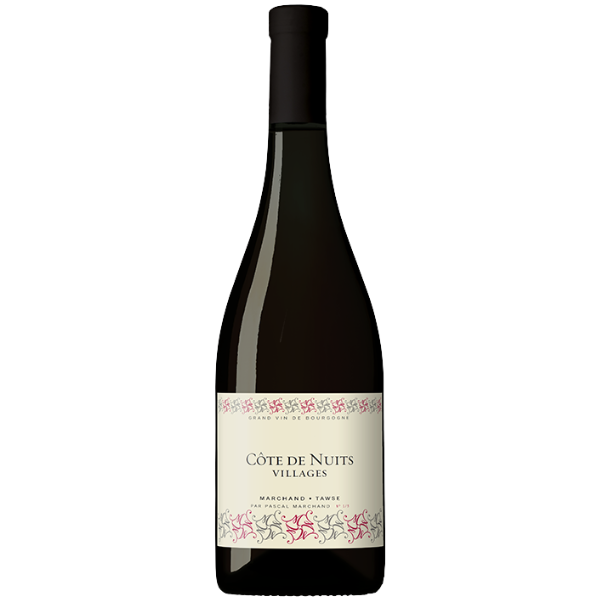 Maison Marchand Tawse, Côte de Nuits Villages 2023 - 750ml